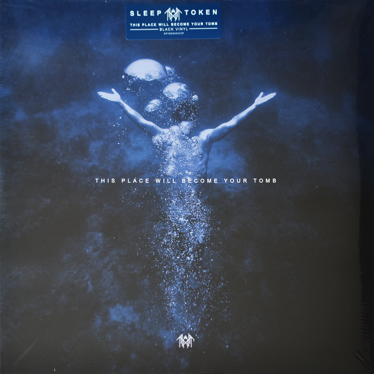 This Place Will Become Your Tomb (Black Vinyl)