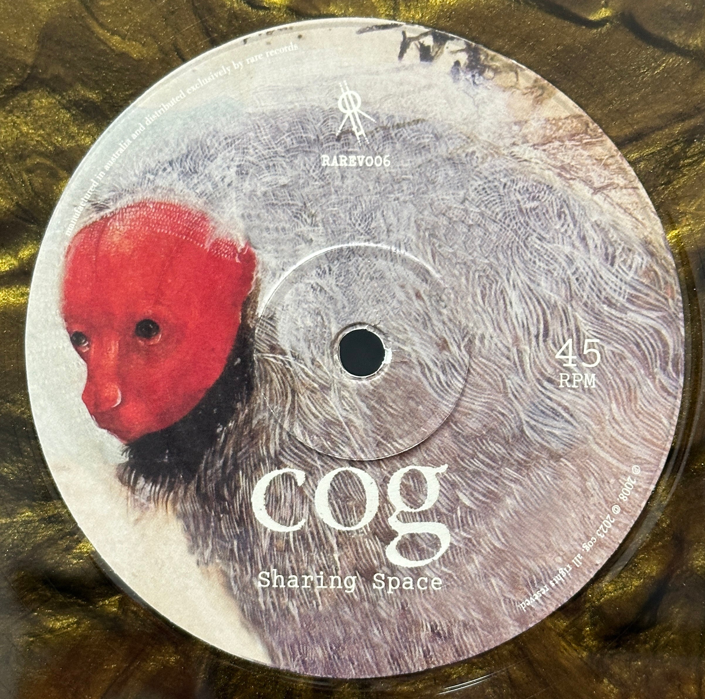Cog Limited Double Pack (The New Normal & Sharing Space)