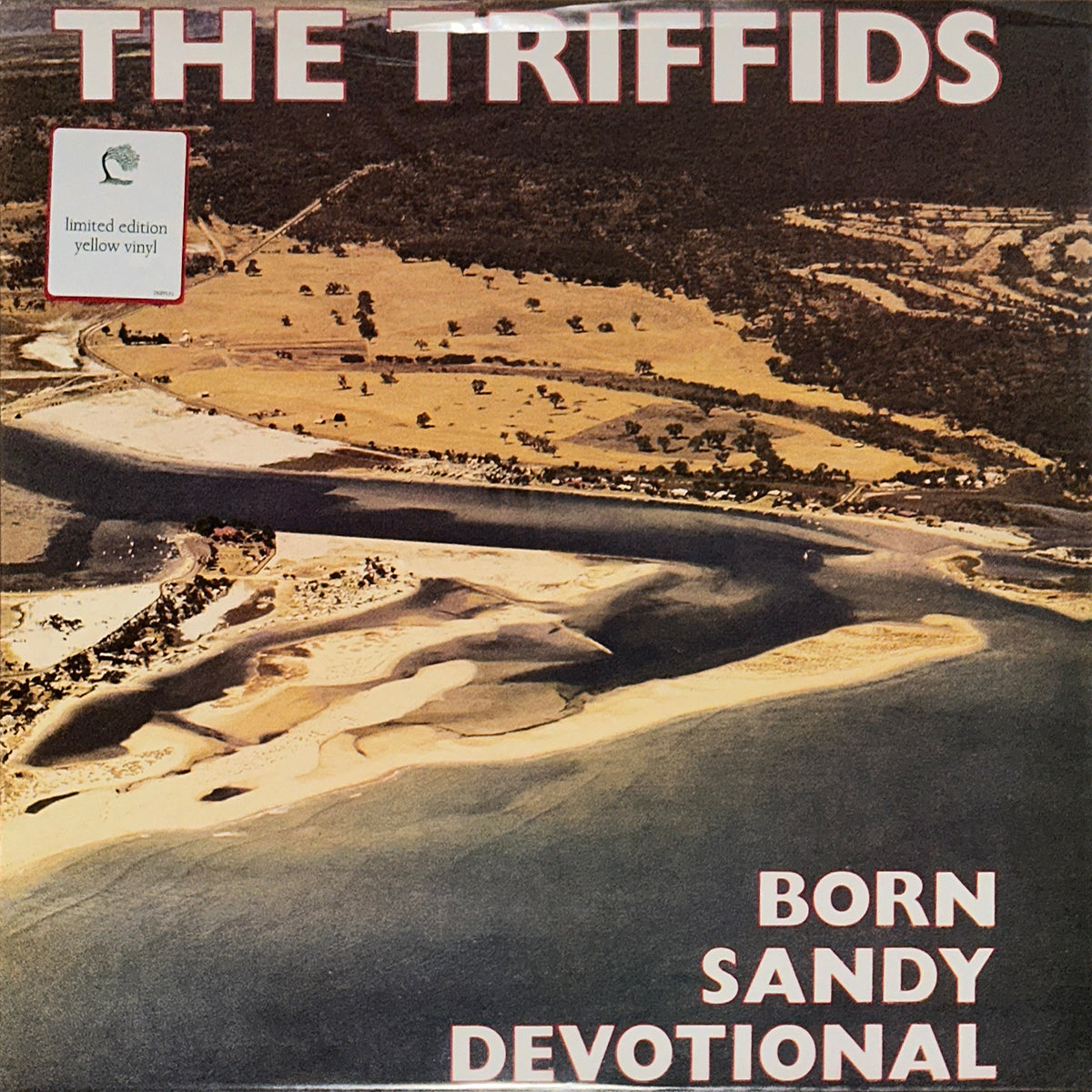 Born Sandy Devotional