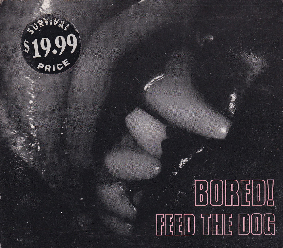 Feed The Dog