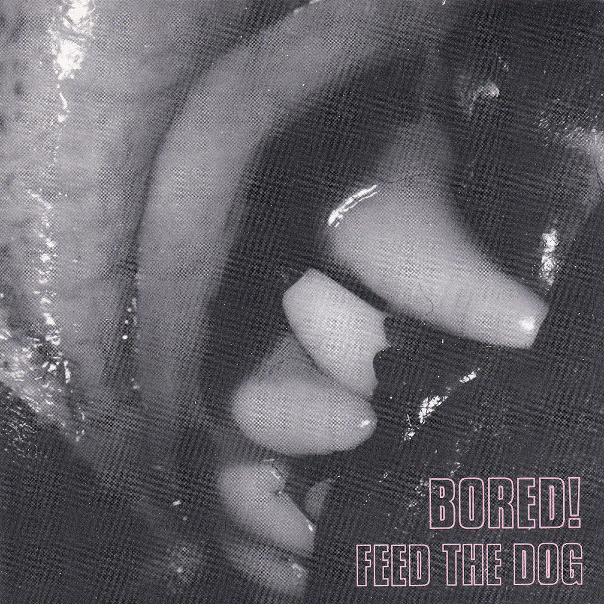 Feed The Dog