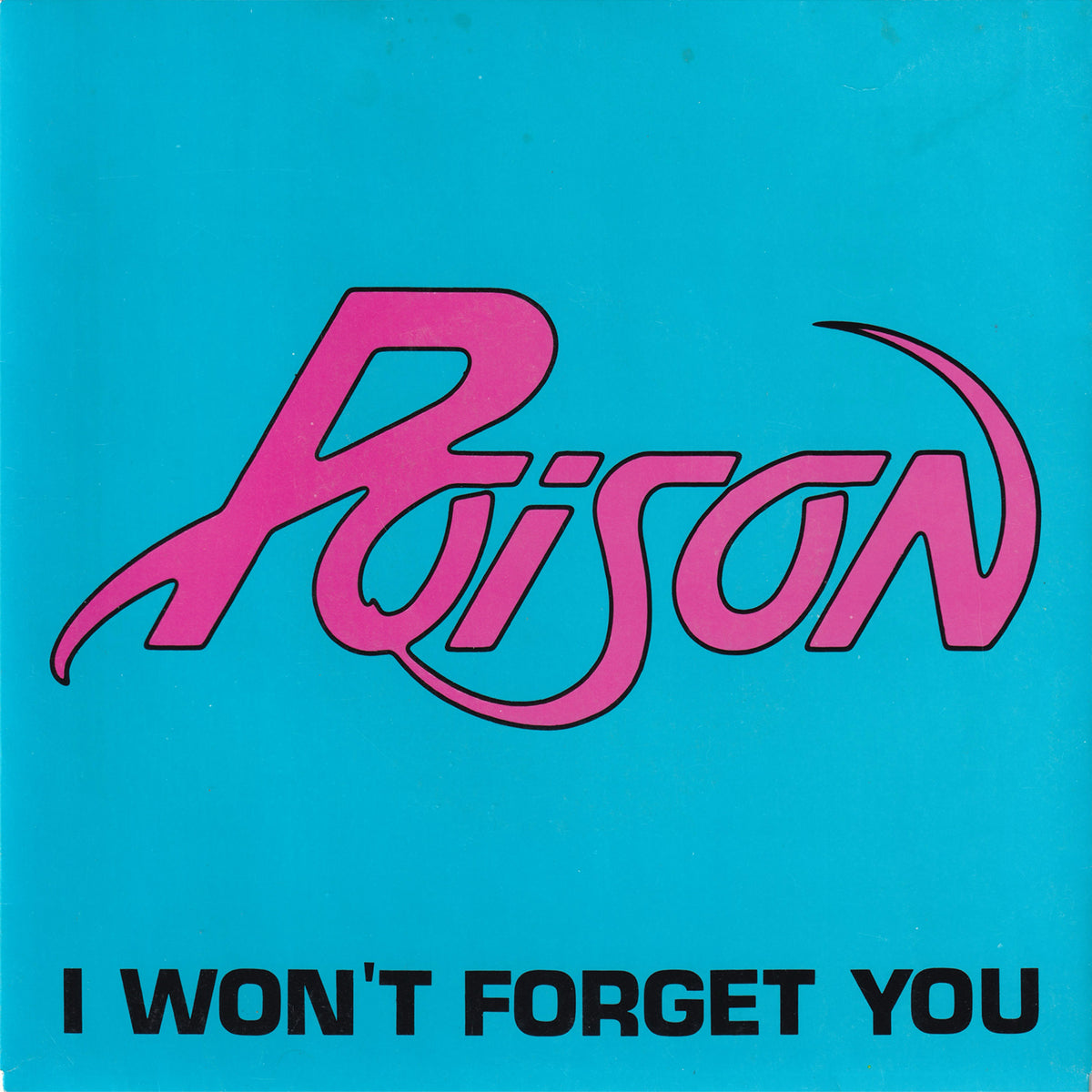I Won't Forget You