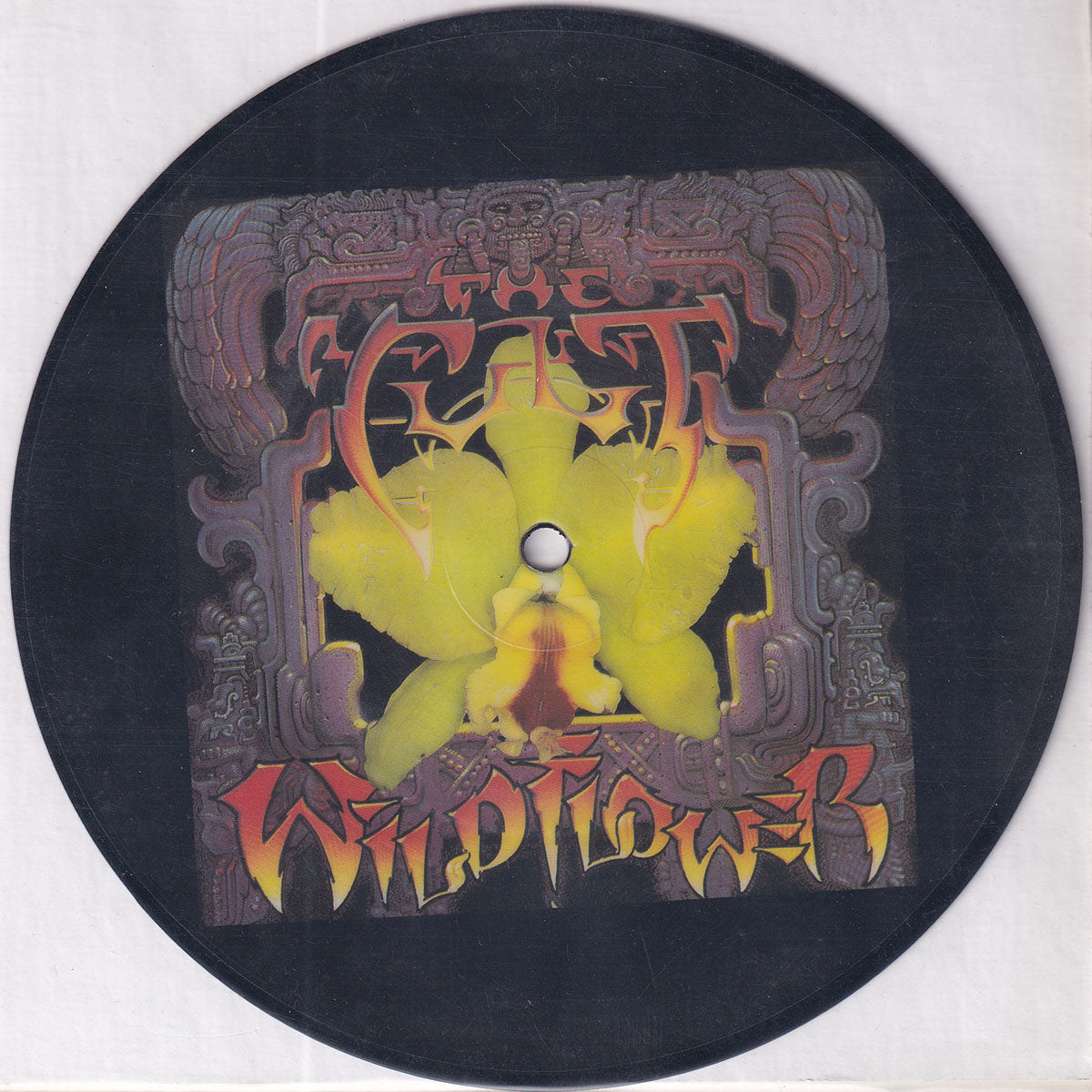 Wild Flower