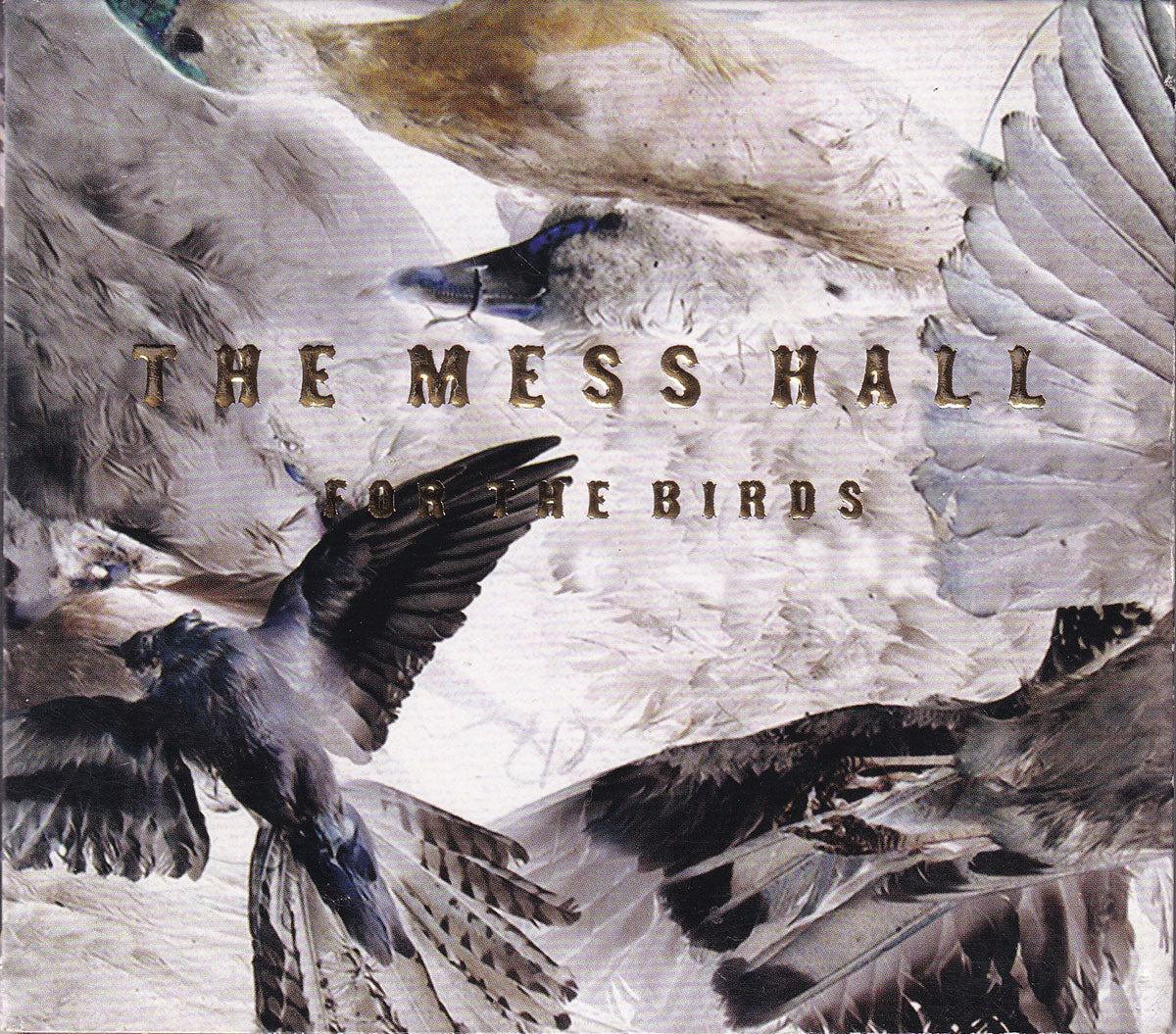 For The Birds