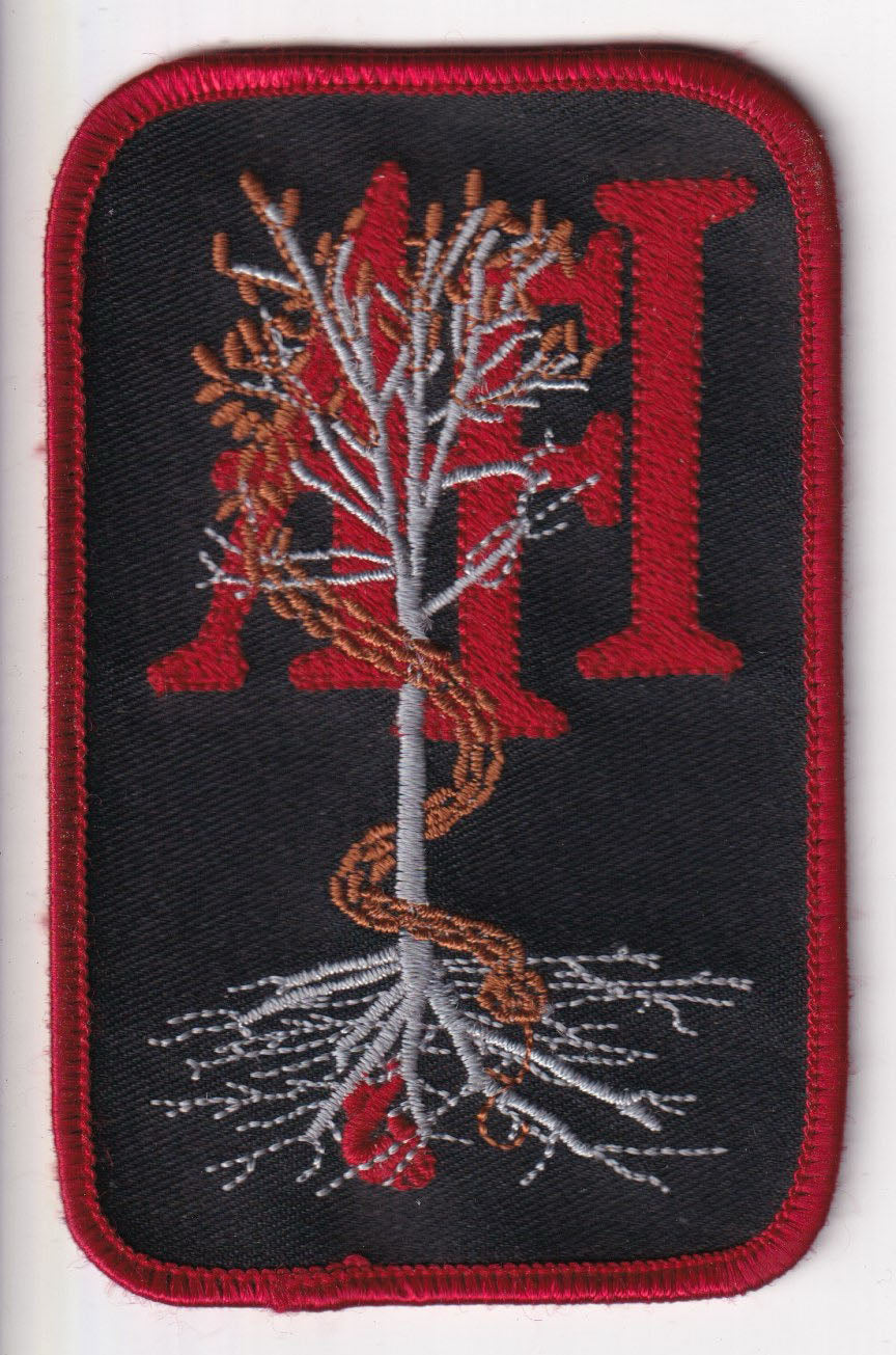 AFI Decemberunderground Embroidered Patch (Red Border)