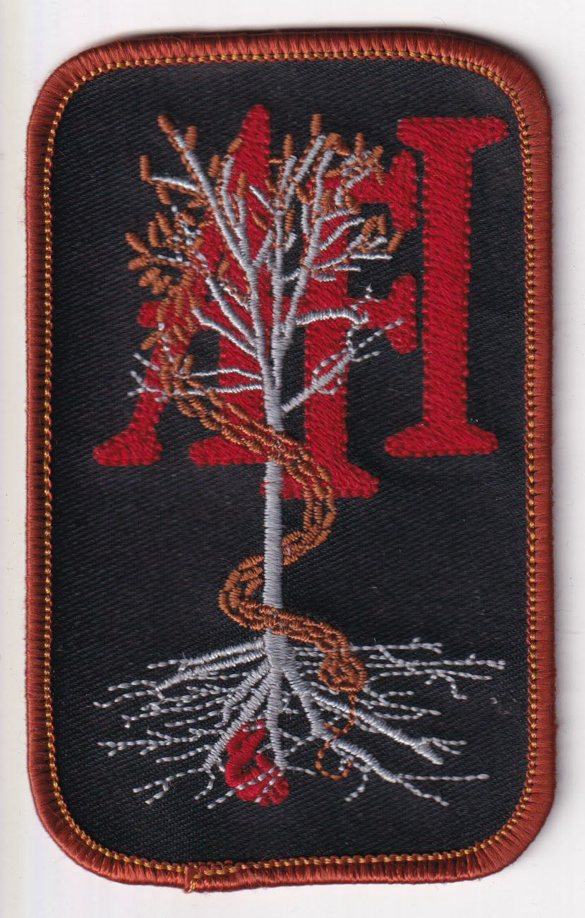 AFI Decemberunderground Embroidered Patch (Orange Border)