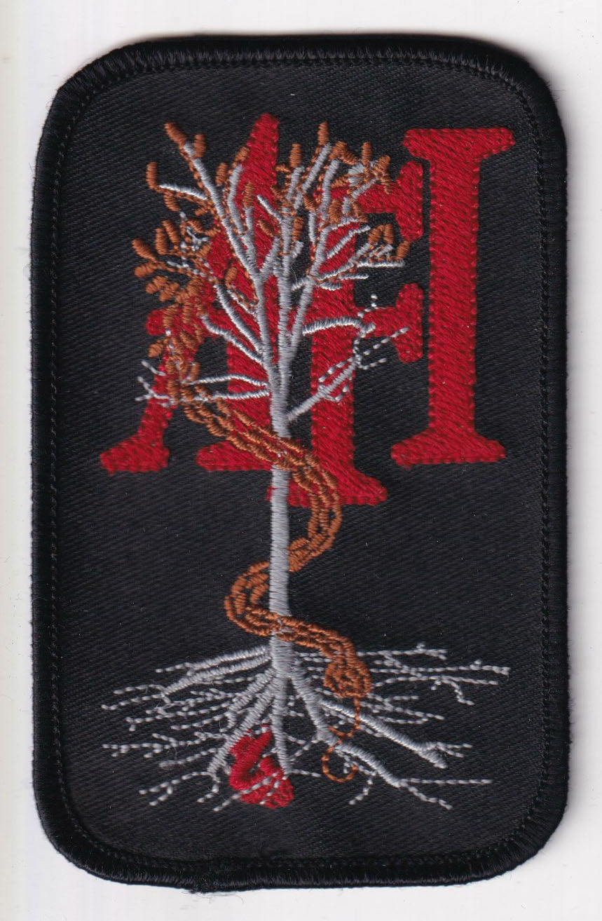 AFI Decemberunderground Embroidered Patch (Black Border)