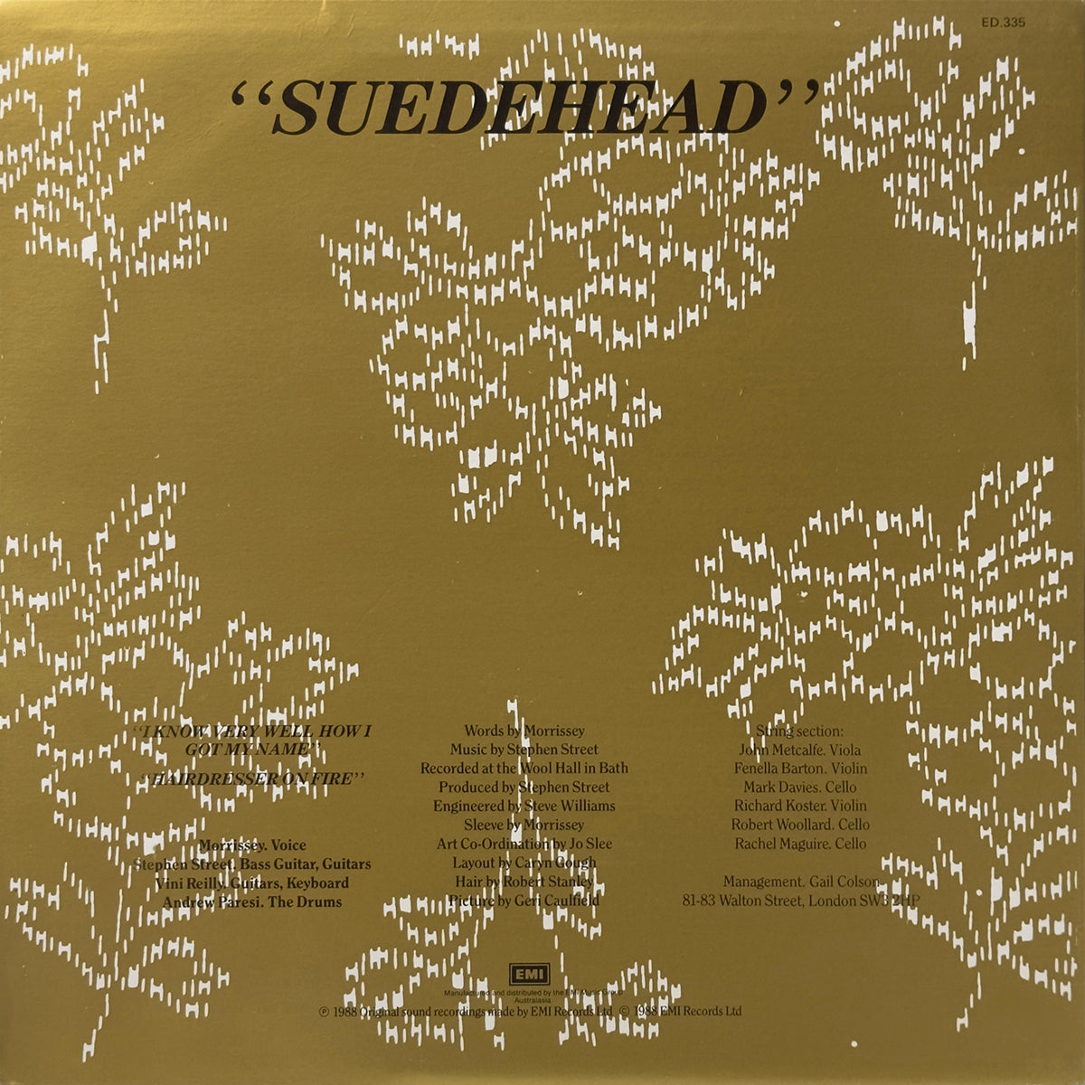 Suedehead