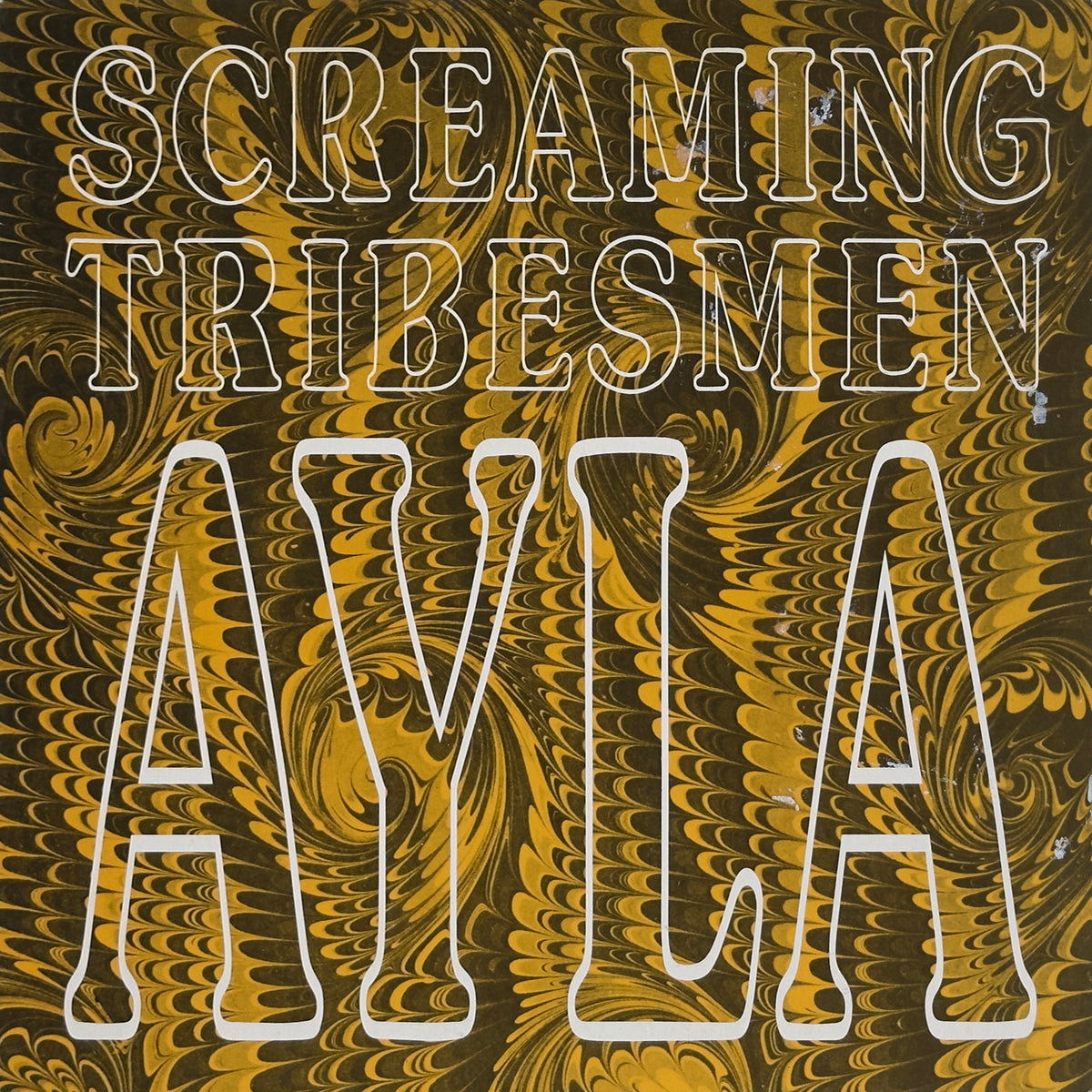 Ayla