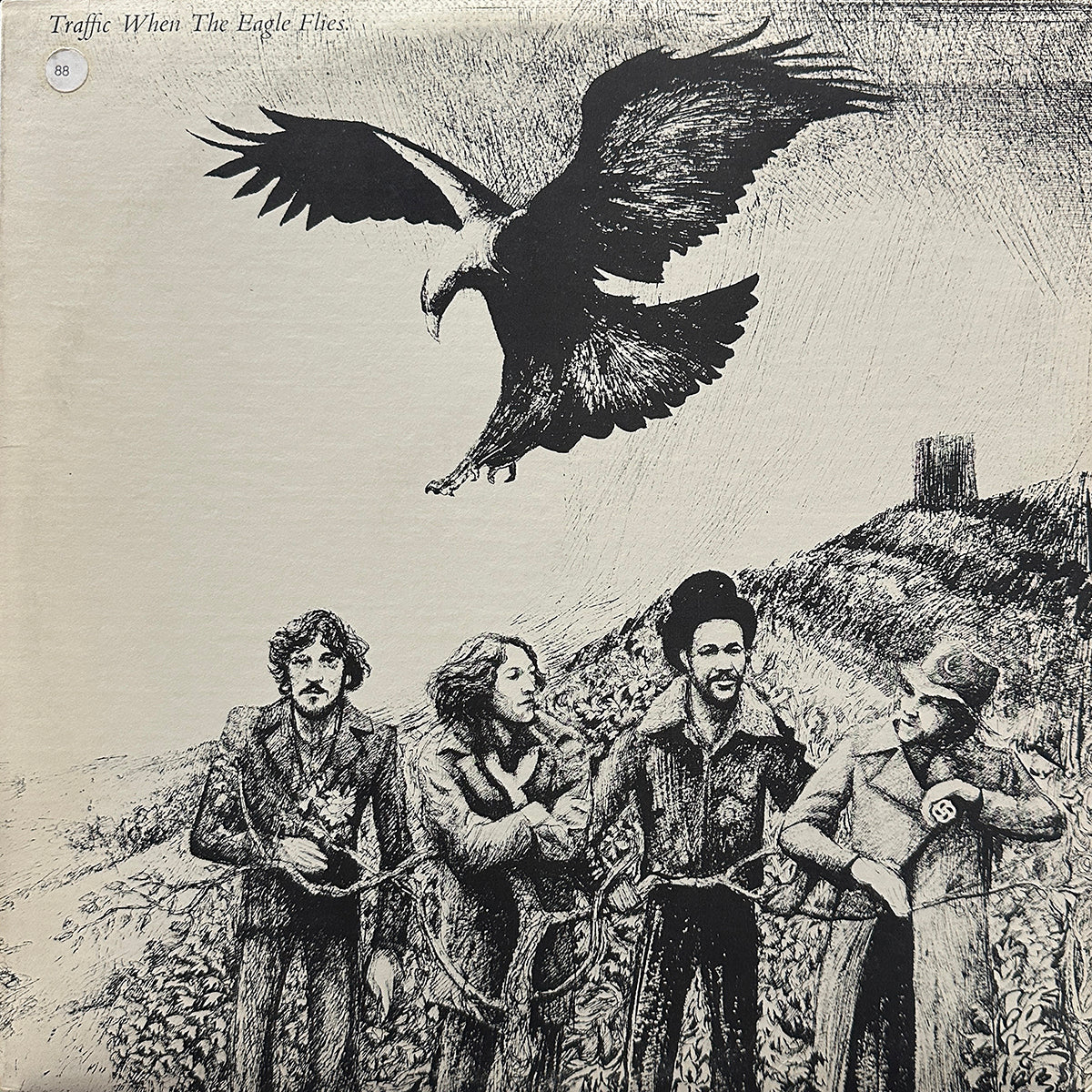 When The Eagle Flies