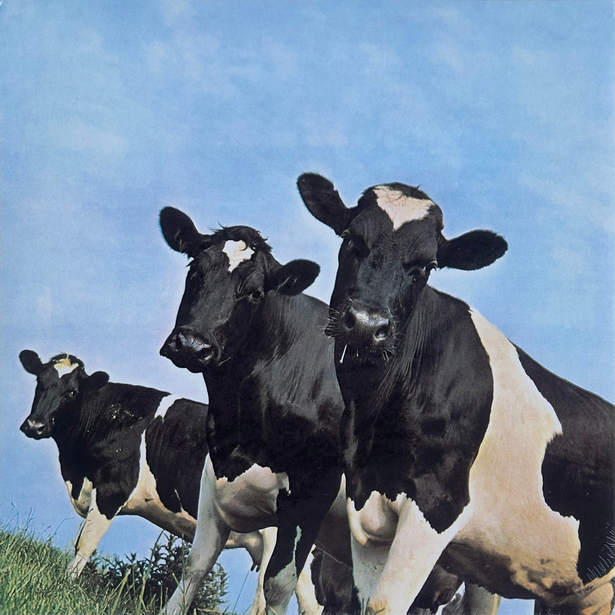Atom Heart Mother