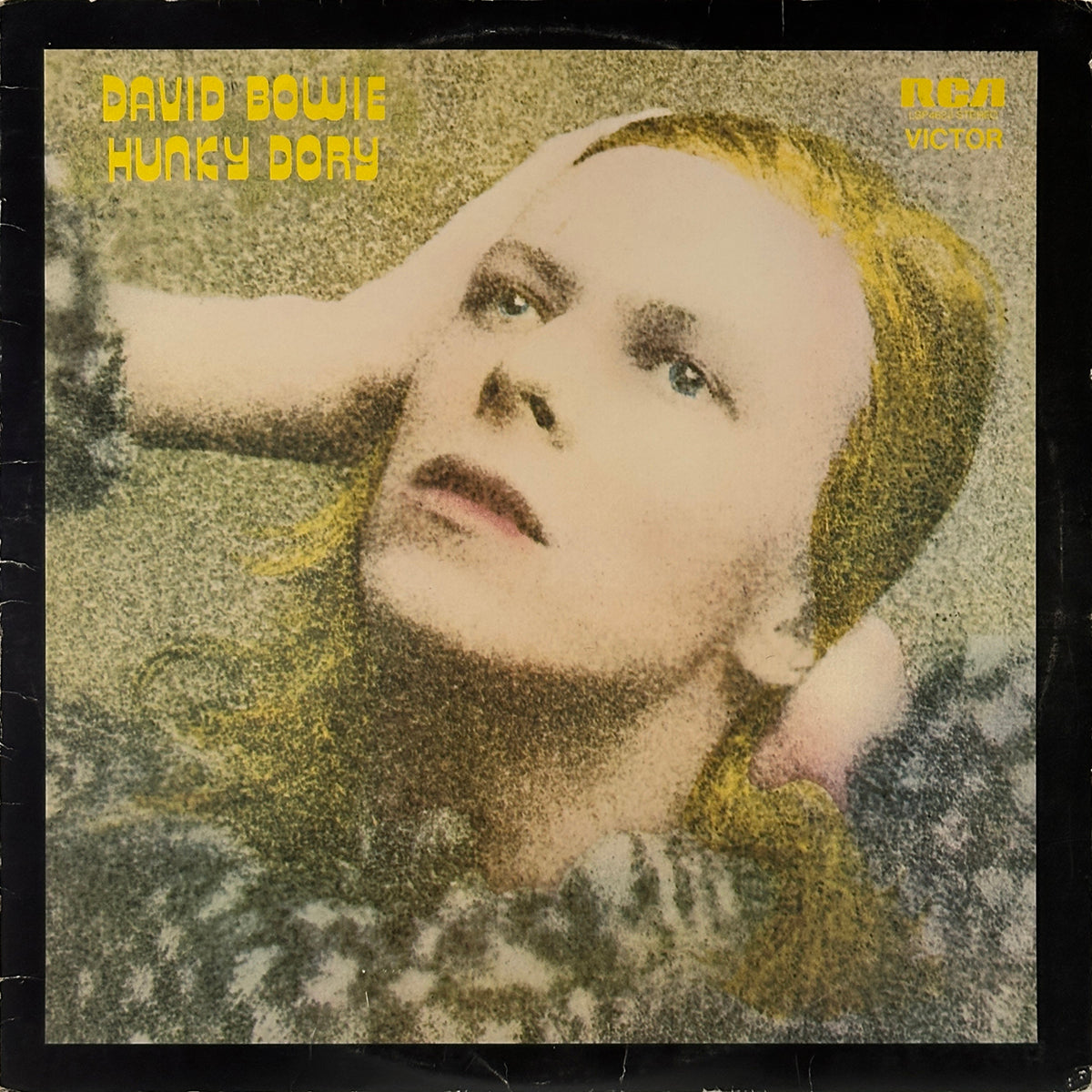 Hunky Dory