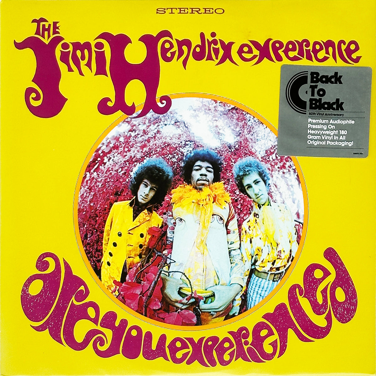 Are You Experienced