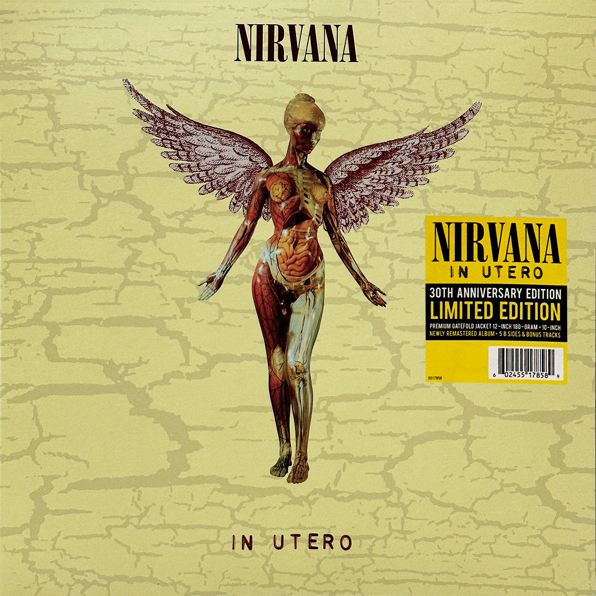 In Utero (30th Anniversary)