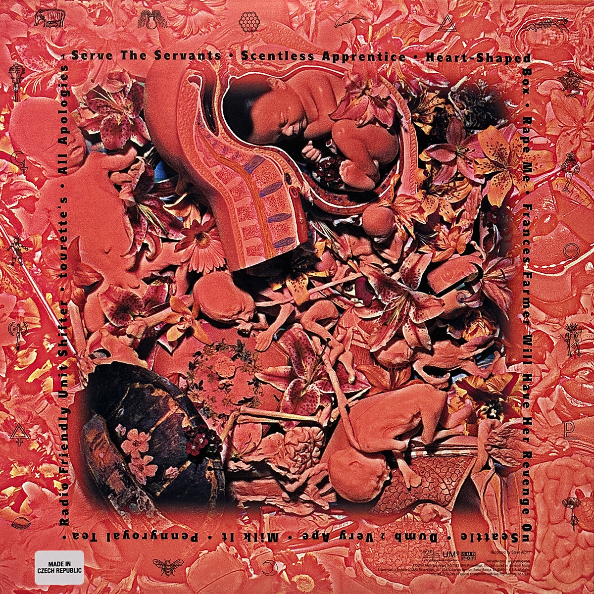 In Utero (30th Anniversary)