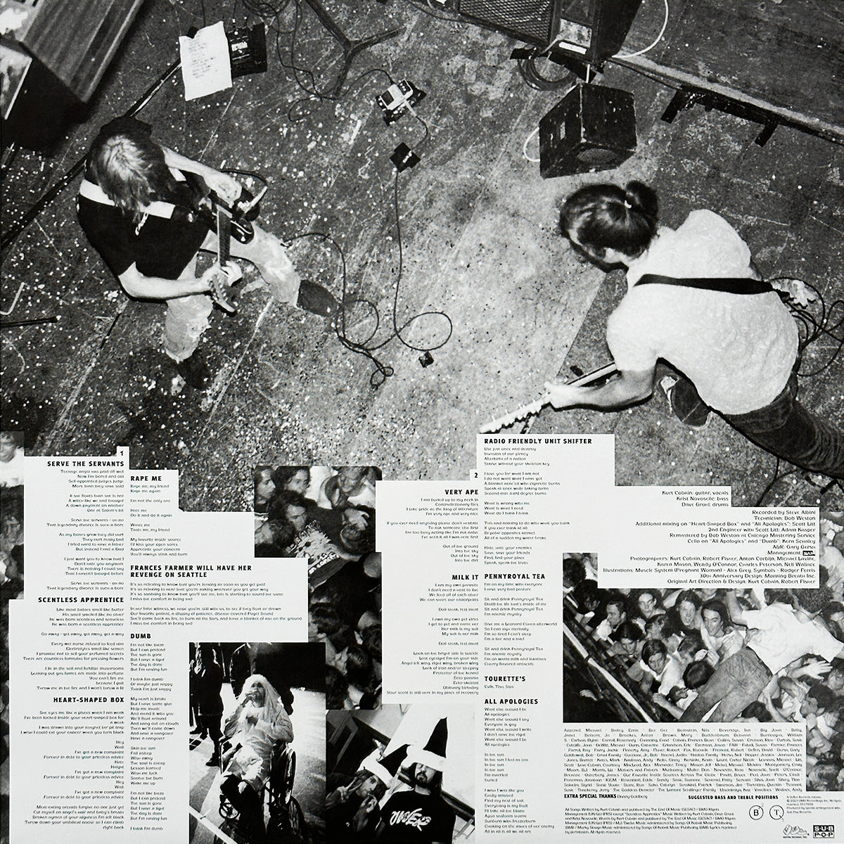 In Utero (30th Anniversary)