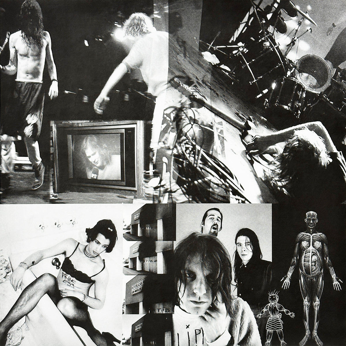 In Utero (30th Anniversary)