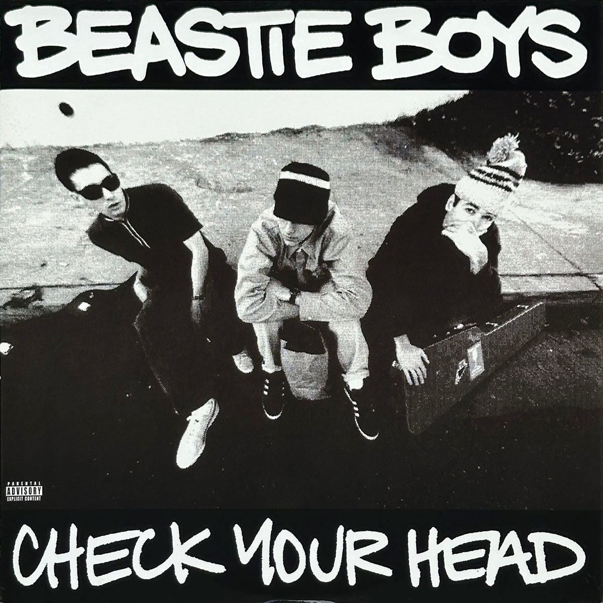 Check Your Head