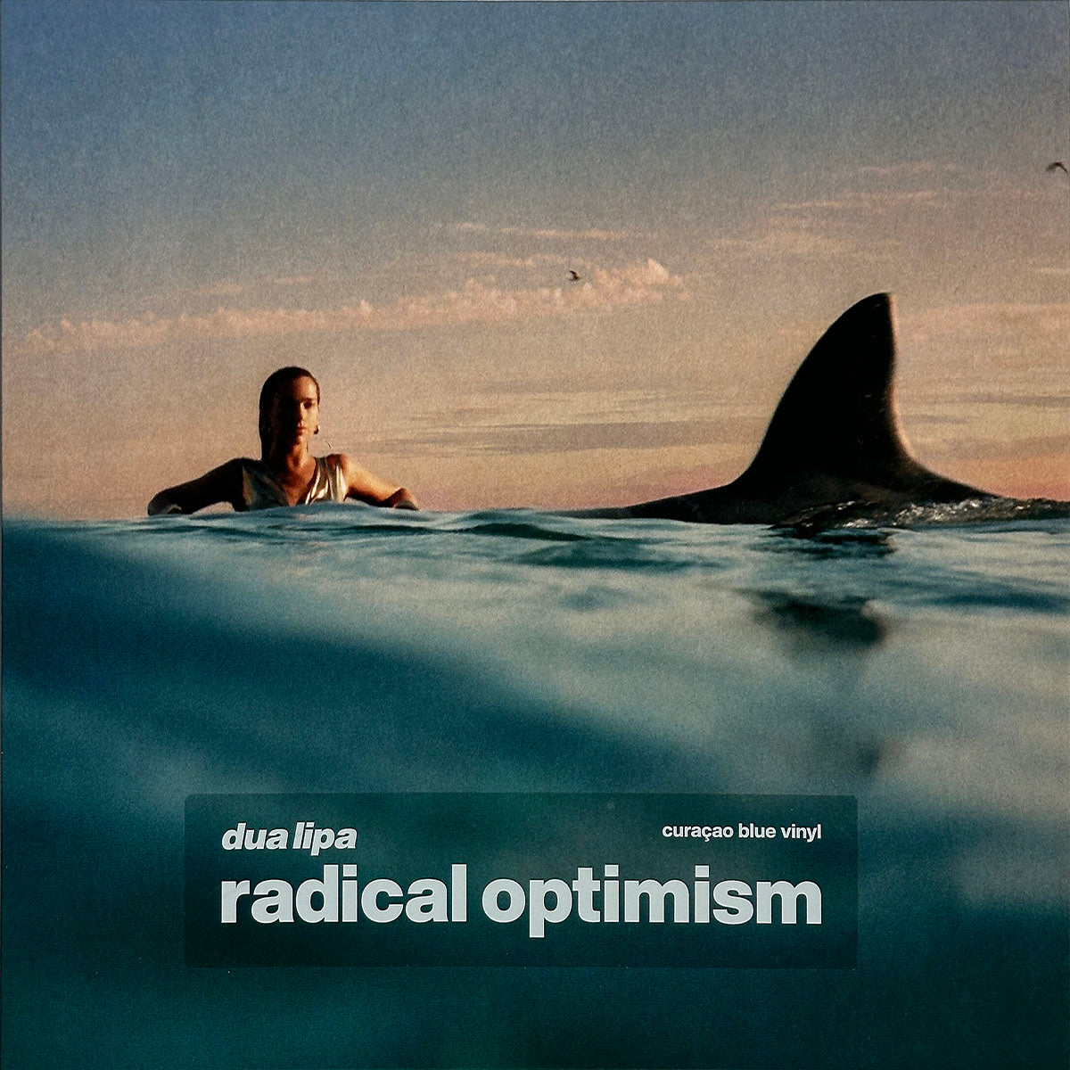 Radical Optimism