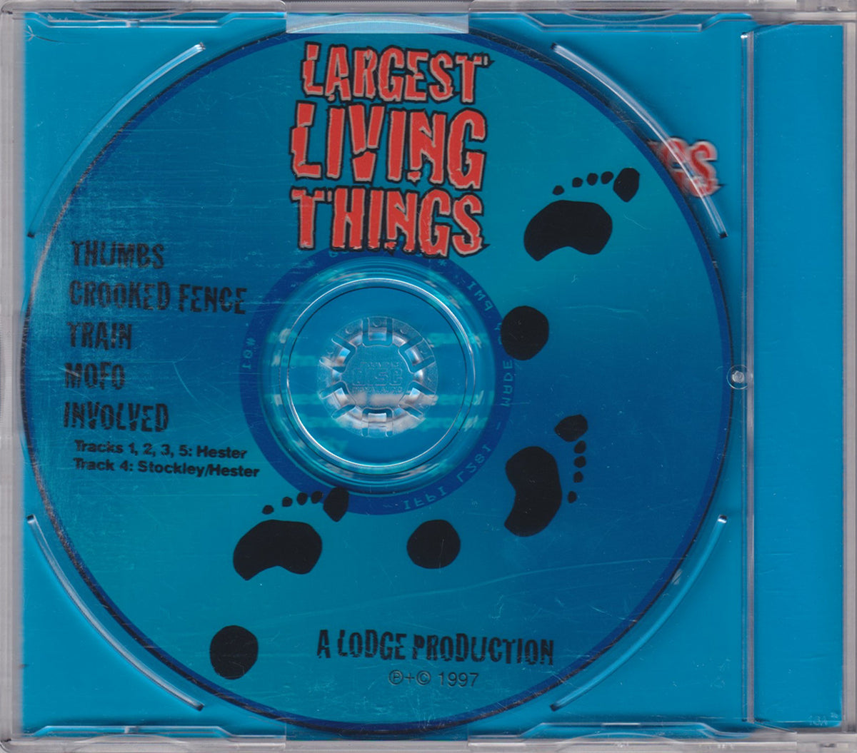 Largest Living Things