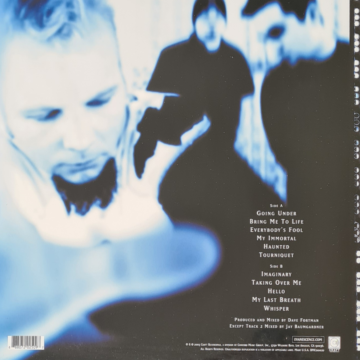 Fallen - Image 2