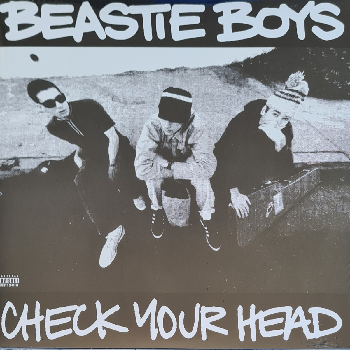 Check Your Head - Image 1