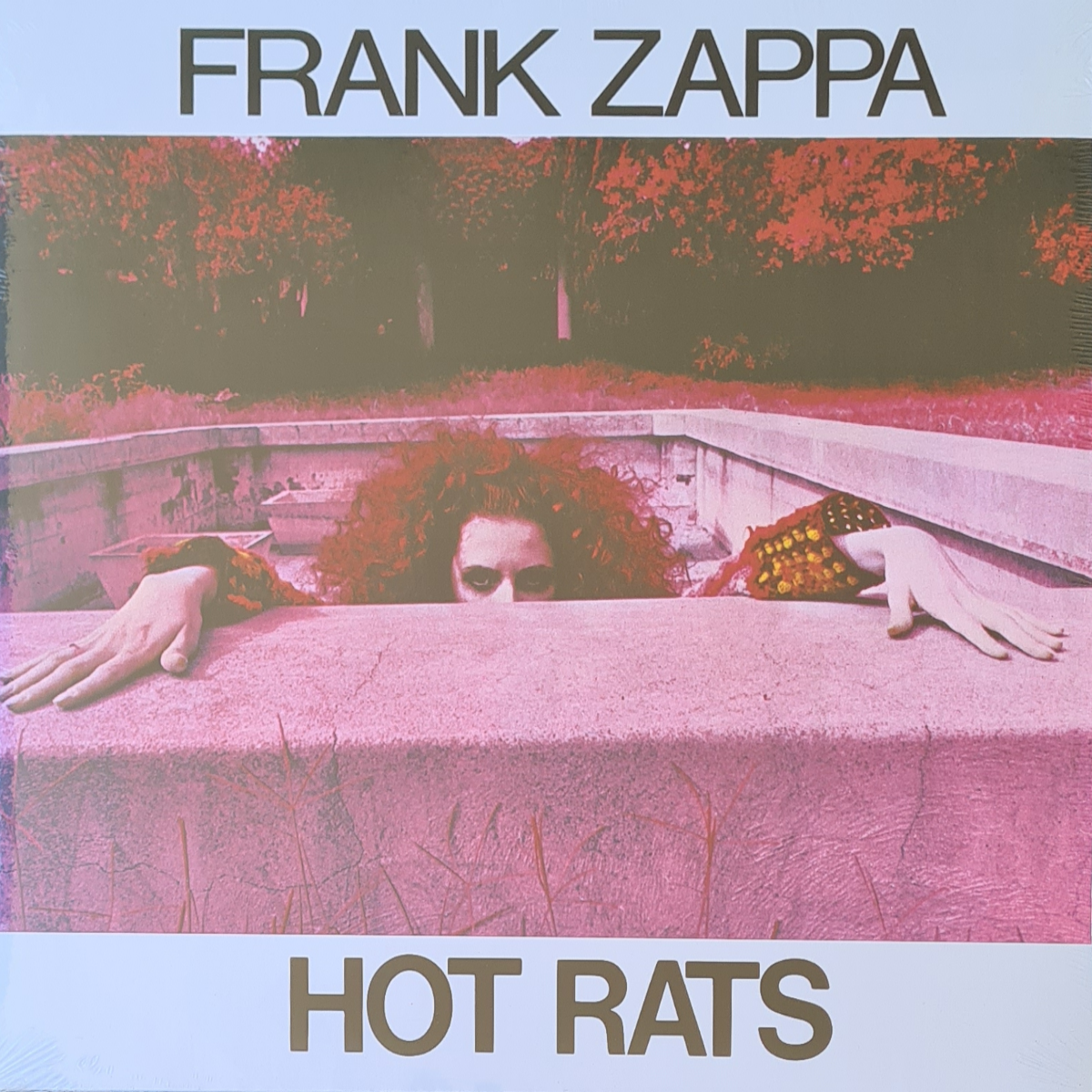 Hot Rats - Image 1