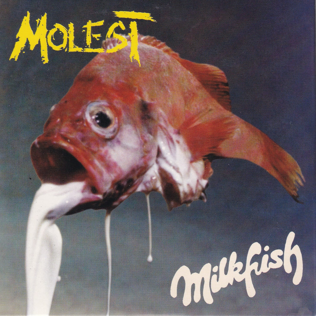 Milkfish - Image 1
