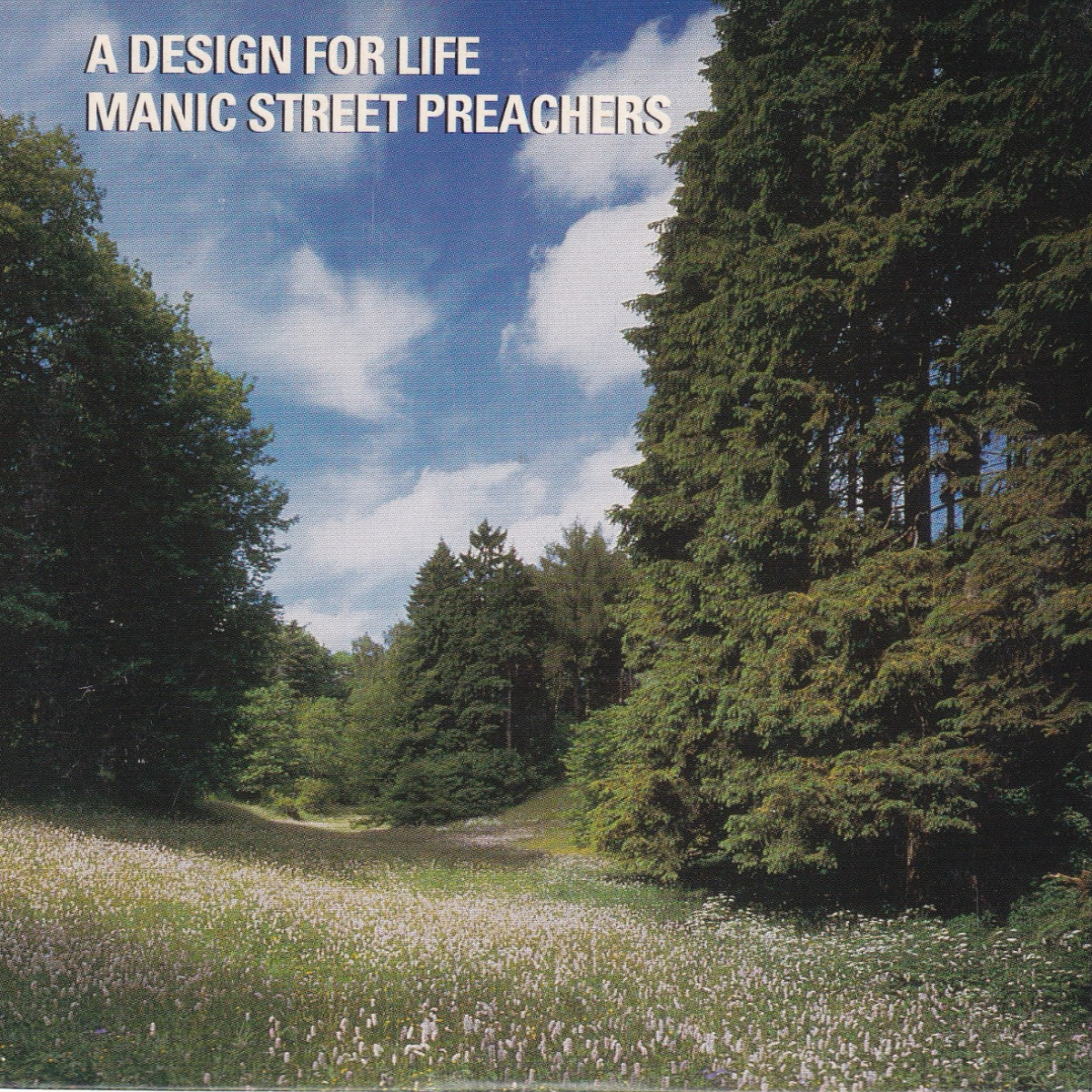 A Design For Life - Image 1