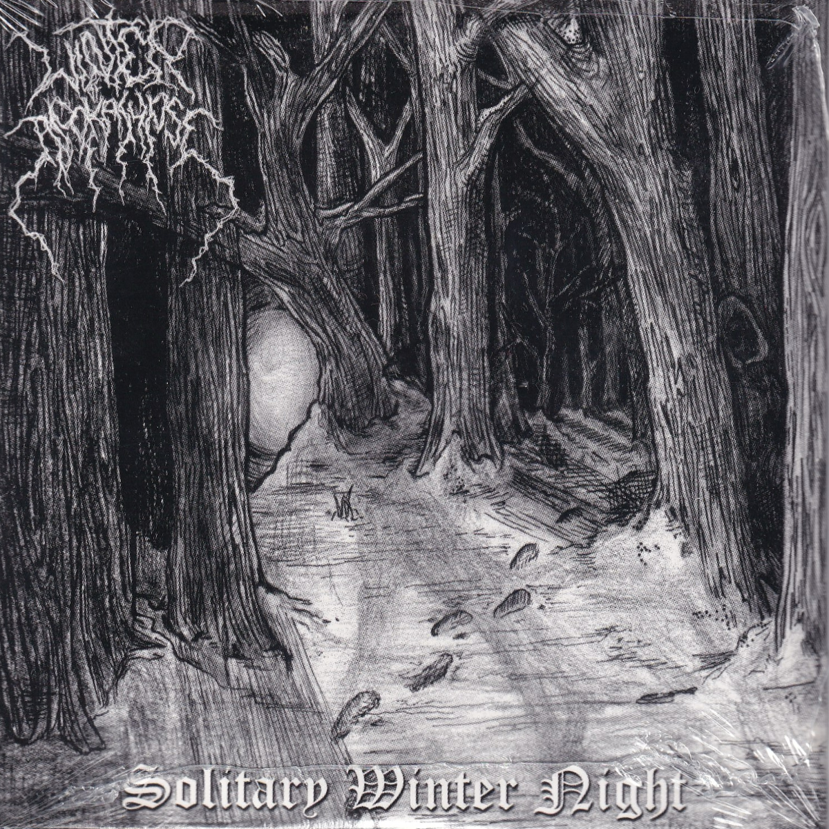 Solitary Winter Night - Image 1