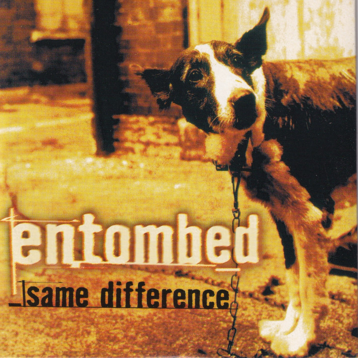 Same Difference - Image 1