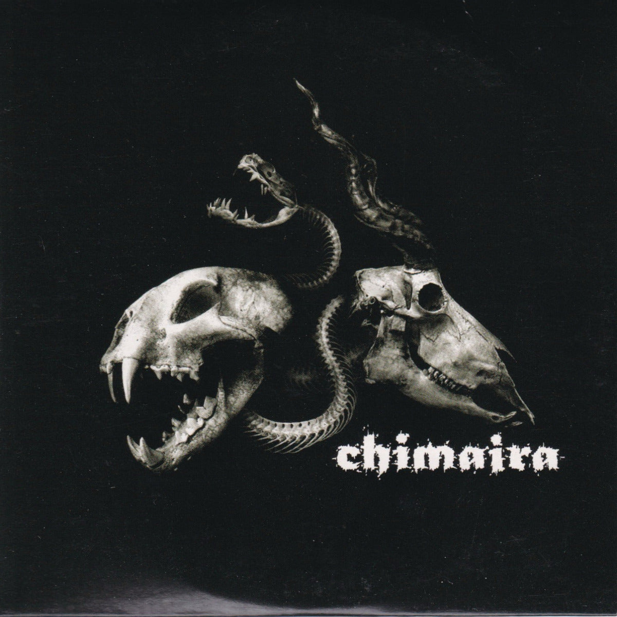 Chimaira - Image 1