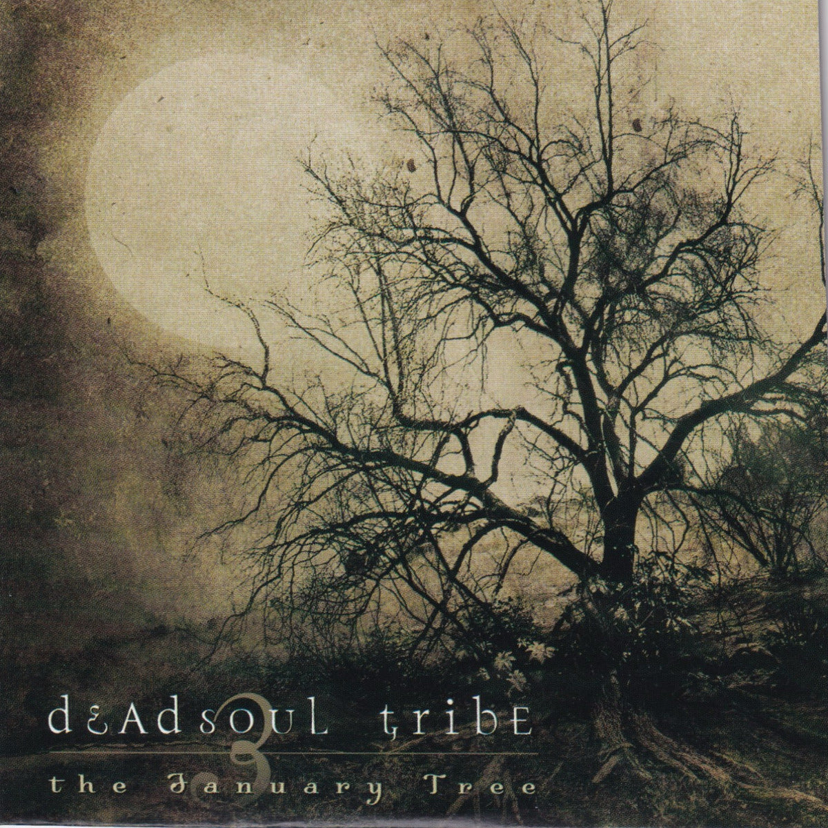The January Tree - Image 1