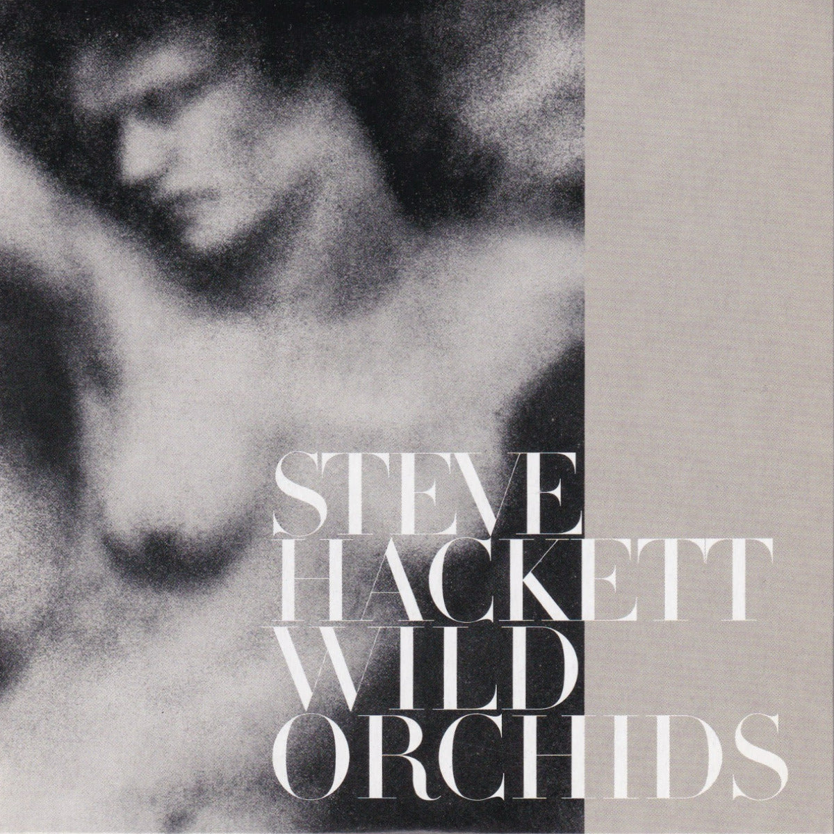 Wild Orchids - Image 1