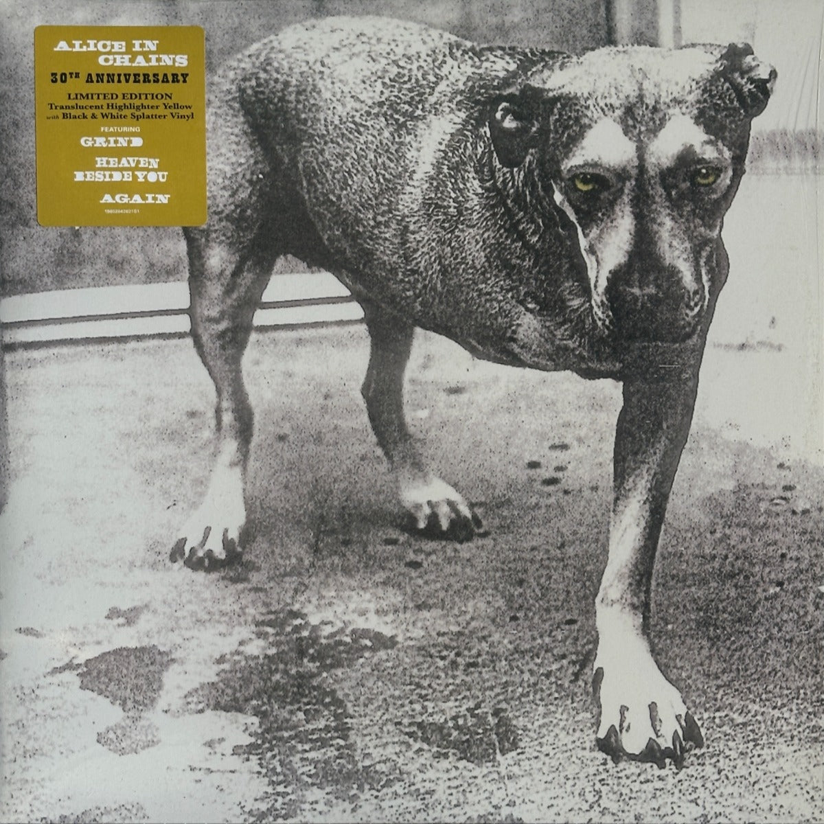 Alice In Chains - Image 1