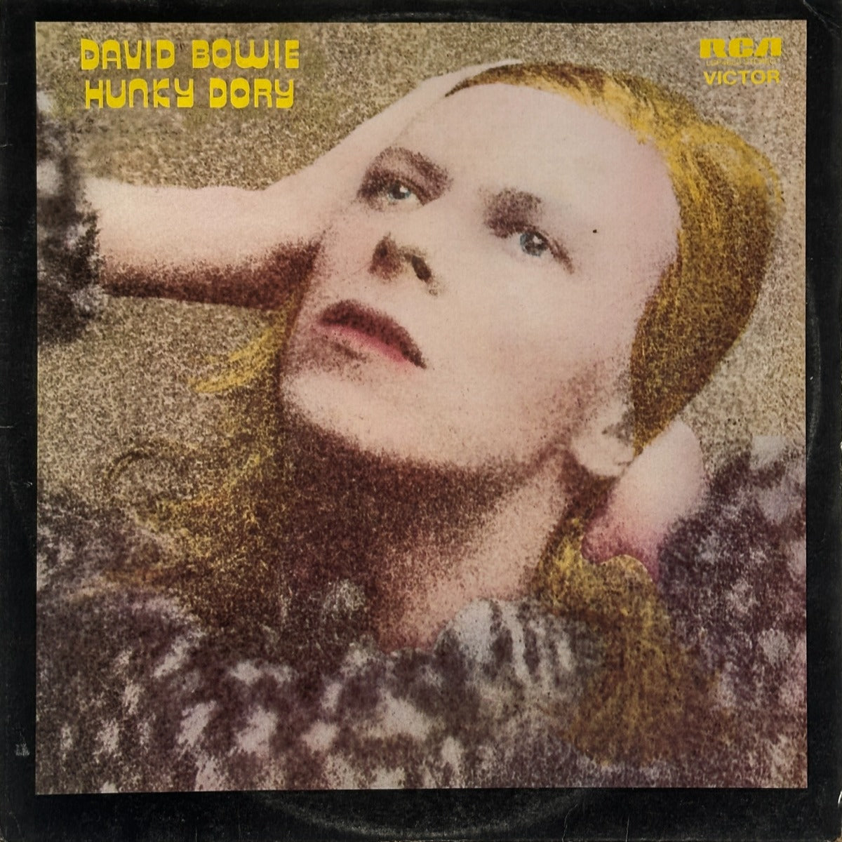 Hunky Dory - Image 1