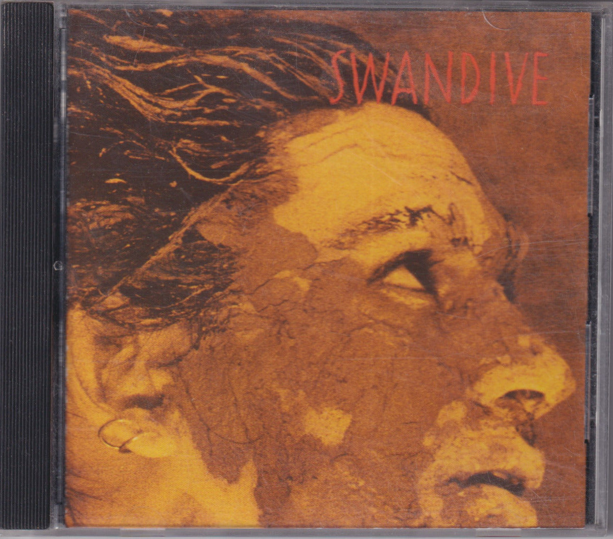 Swandive - Image 1