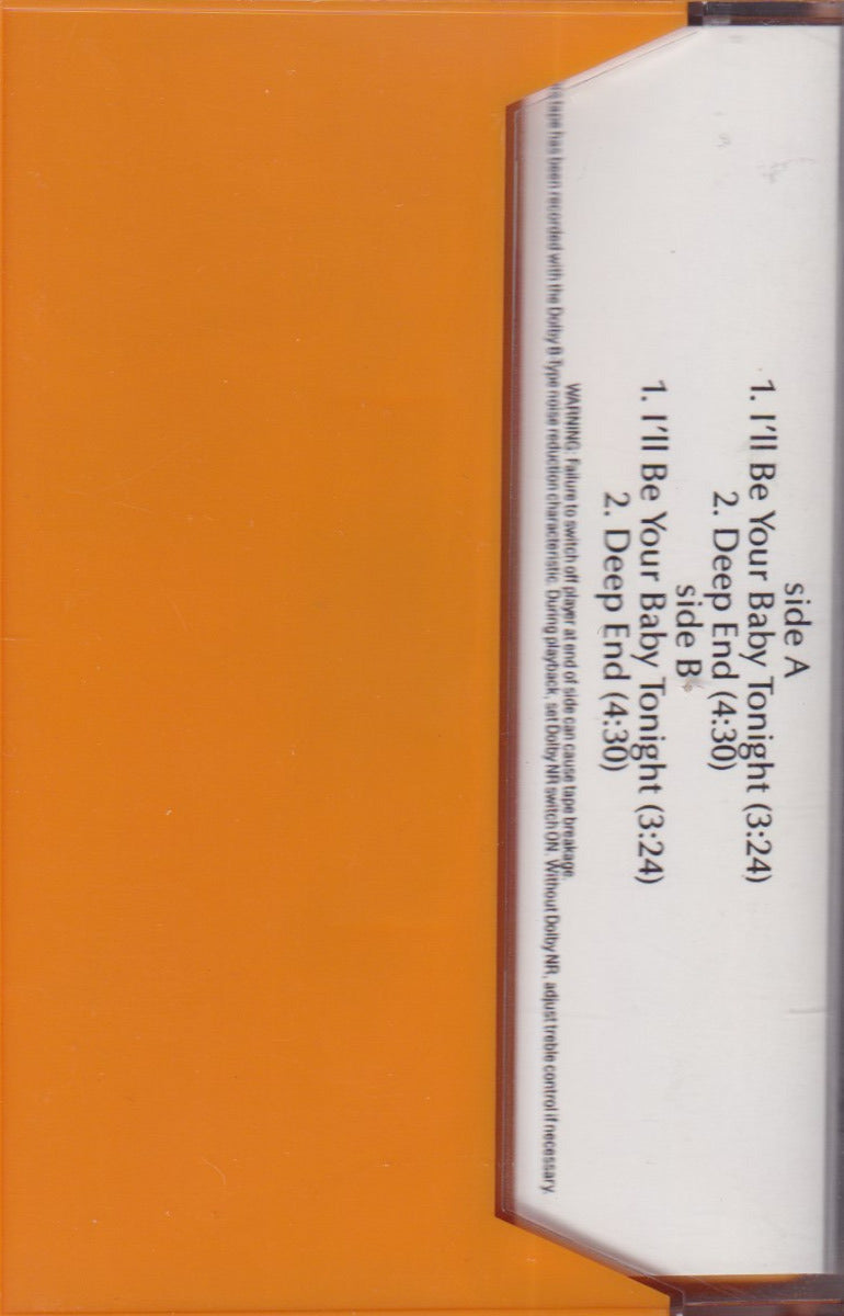 I'll Be Your Baby Tonight - Image 2