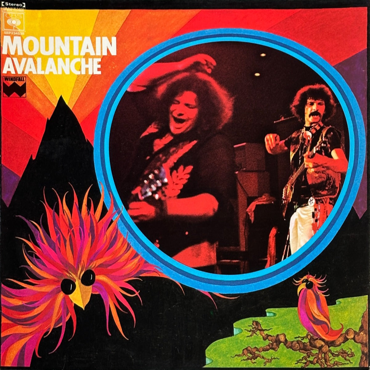 Avalanche - Image 1