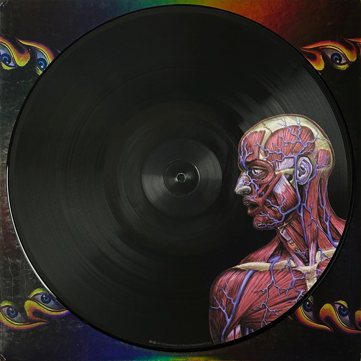 Lateralus - Image 4