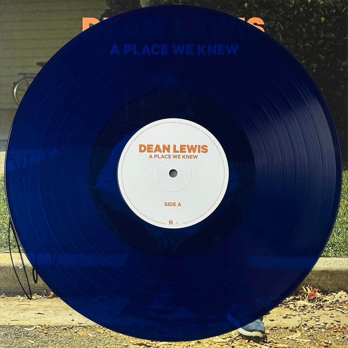 A Place We Knew - Image 3