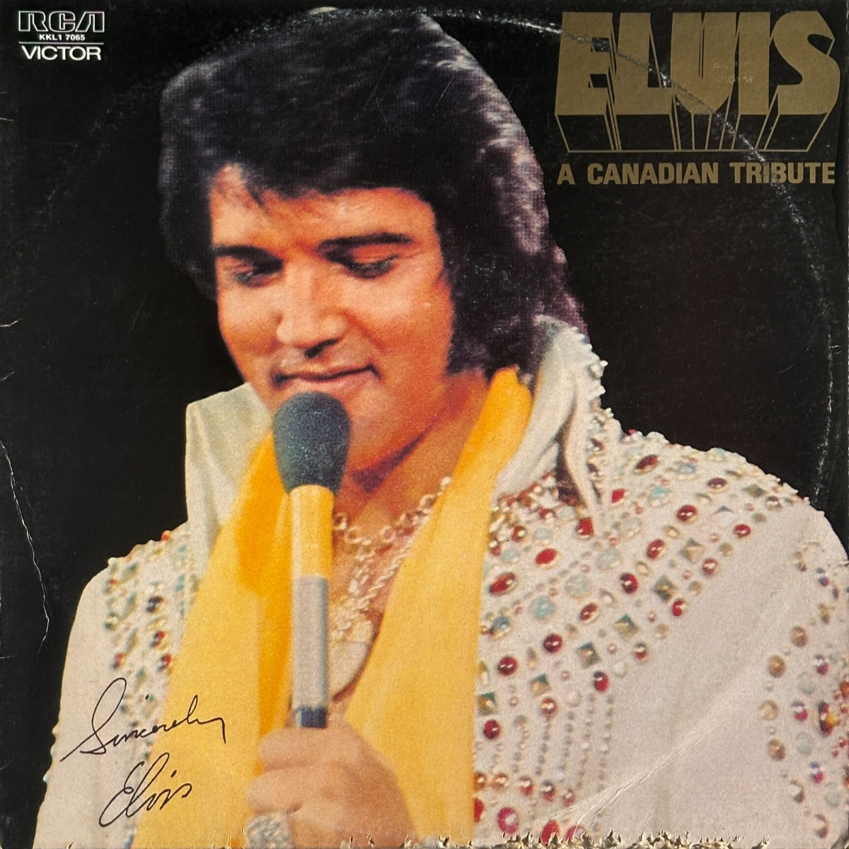 A Canadian Tribute - Image 1