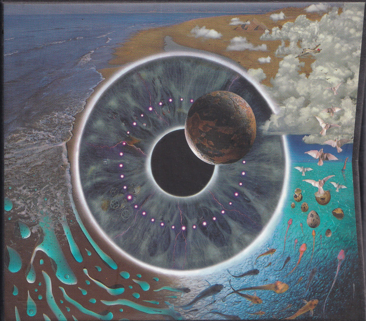 Pulse - Image 1