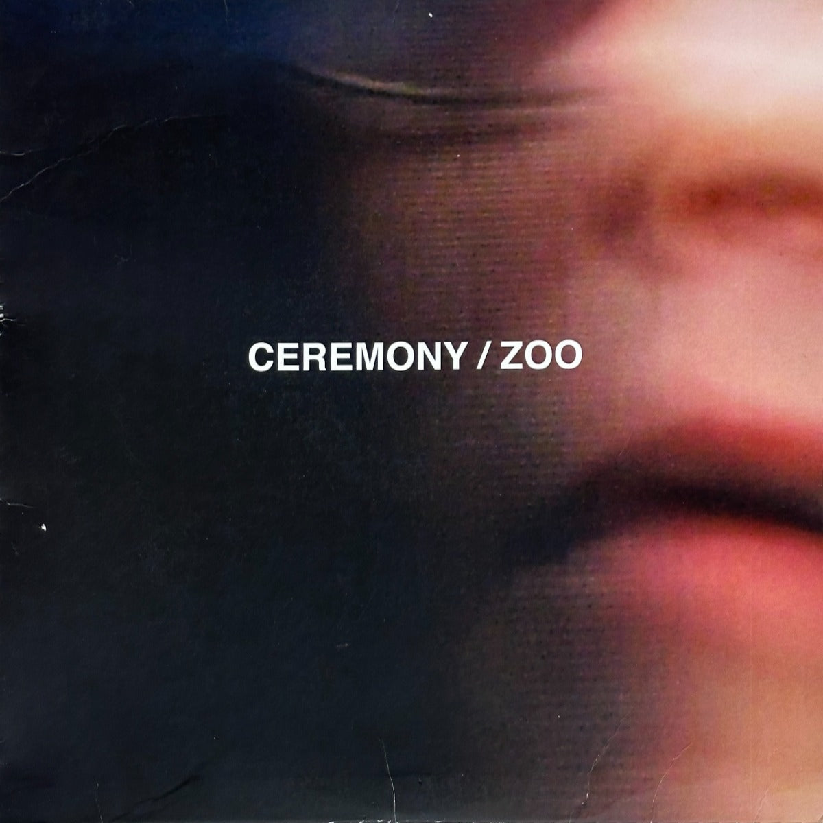 Zoo - Image 1