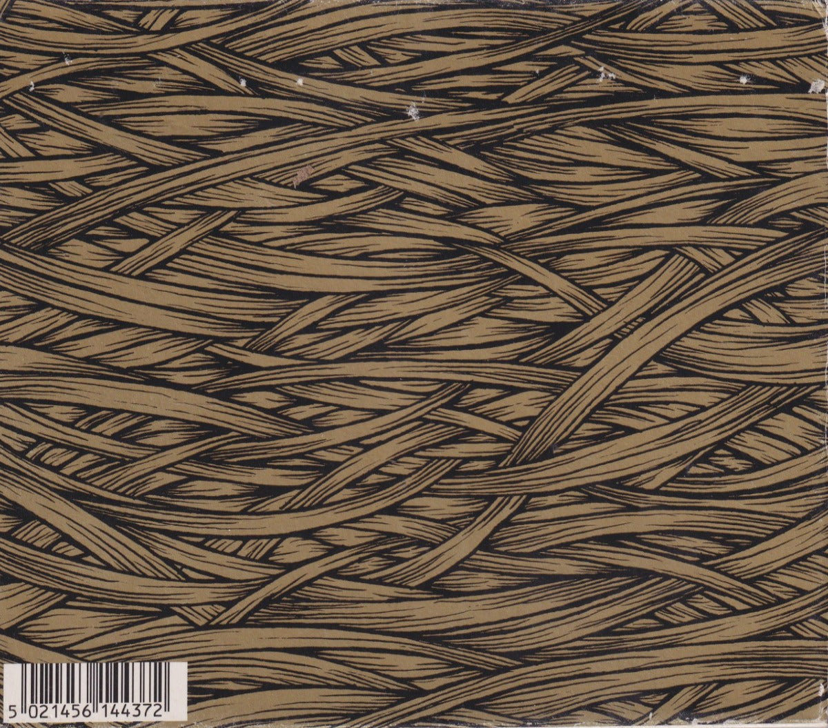 In The Absence Of Truth - Image 2