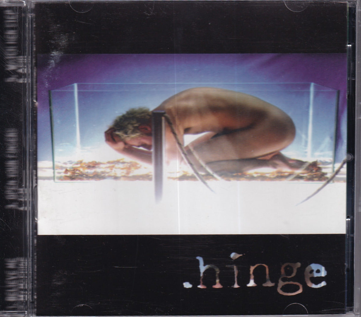 .hinge - Image 1