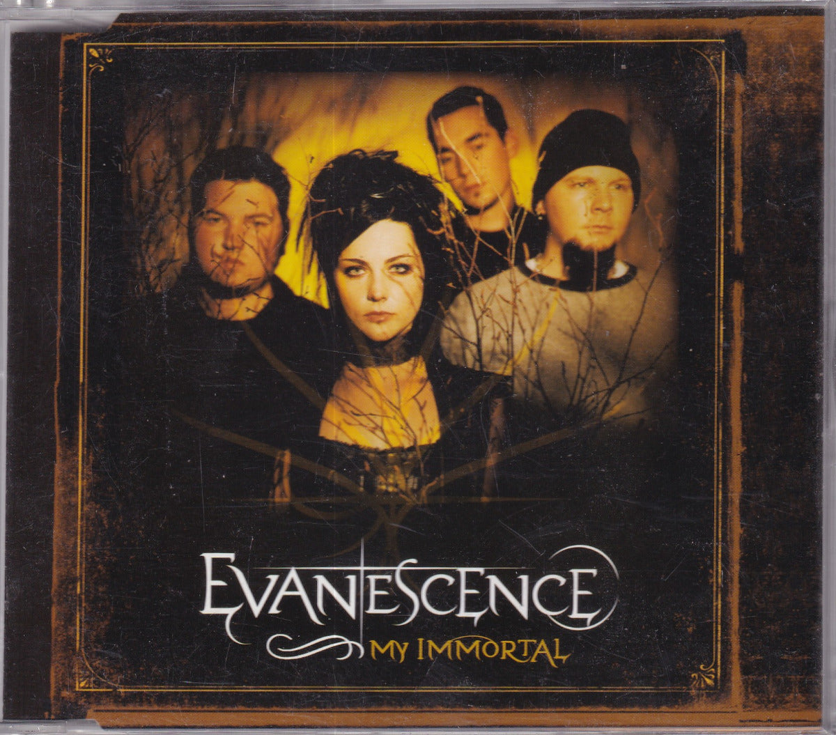 My Immortal - Image 1