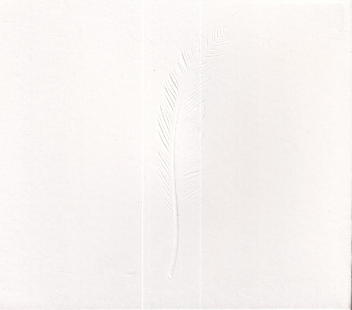 Feel - Image 1