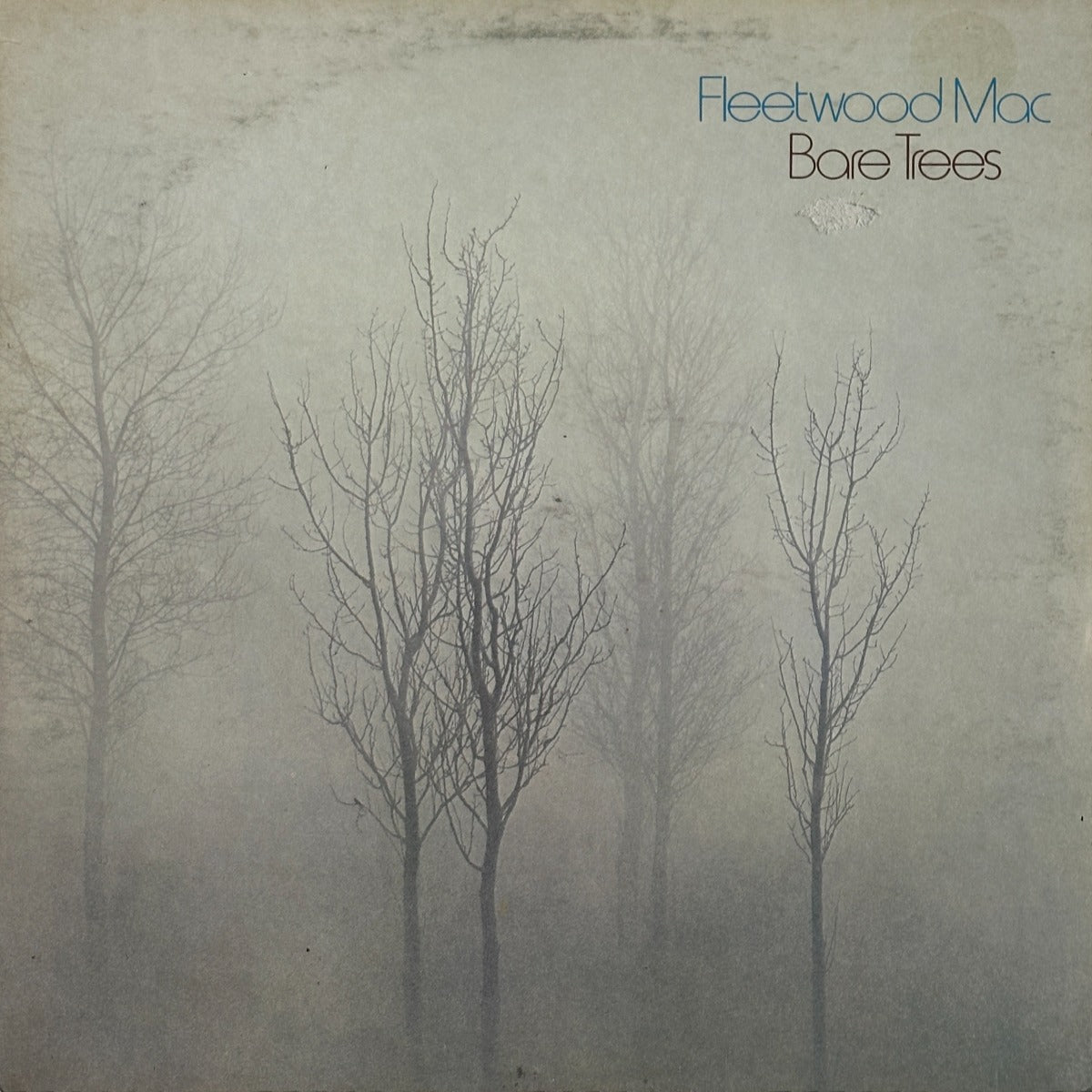 Bare Trees - Image 1