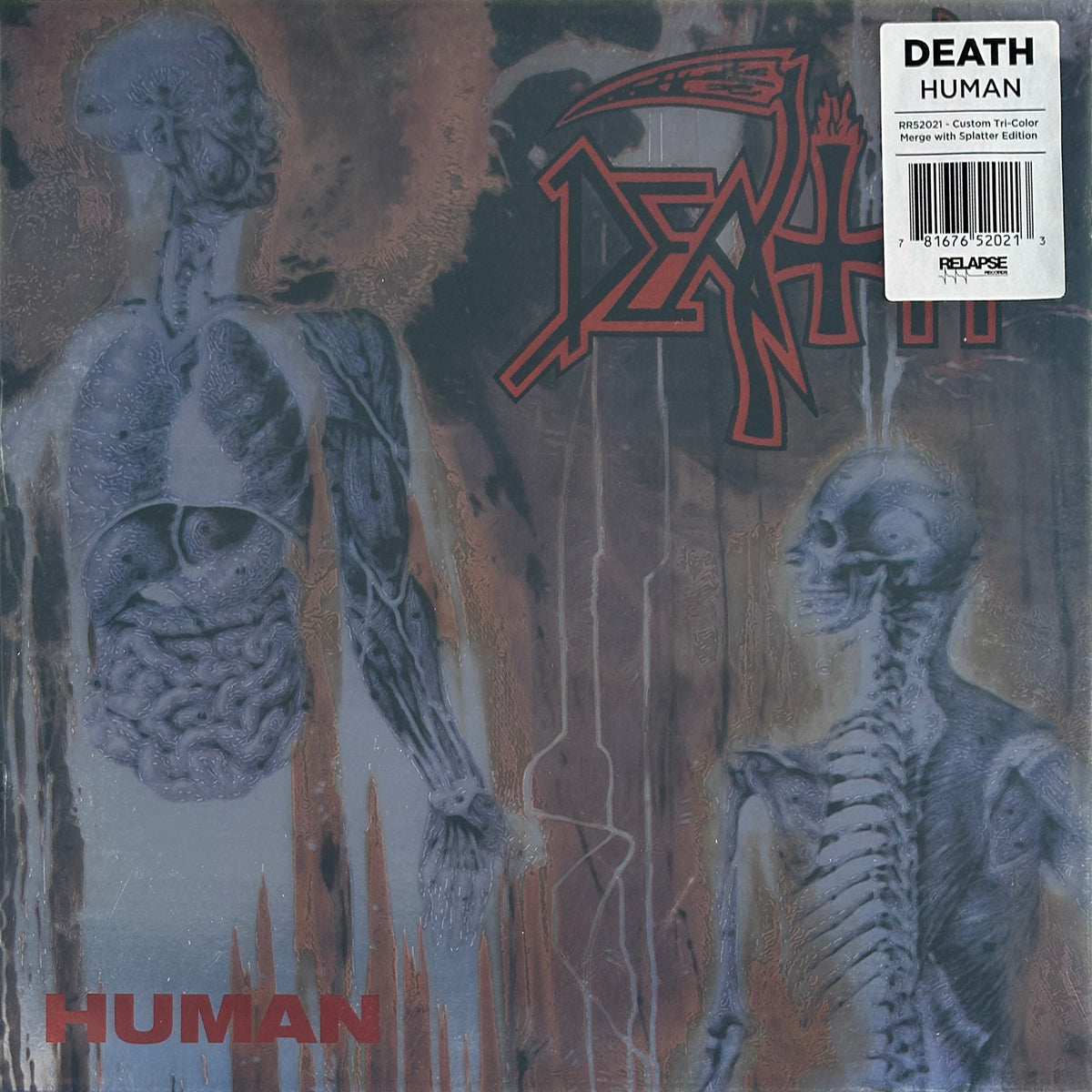 Human - Image 1